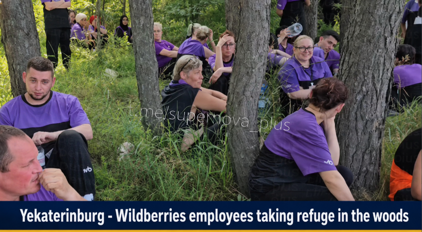 Yekaterinburg Wildberries employees taking refuge in the woods